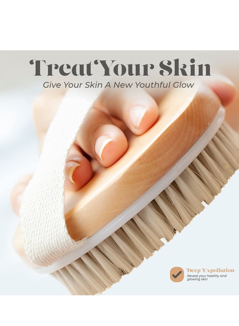 Dry Skin Body Brush - Improves Skin's Health and Beauty Remove Dead Toxins, Cellulite Treatment, Lymphatic Functions, Exfoliates, Stimulates Blood Circulation - Image 3